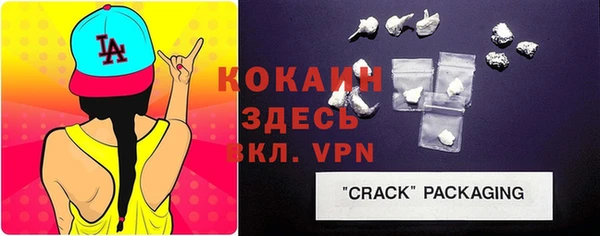 шишки Козловка