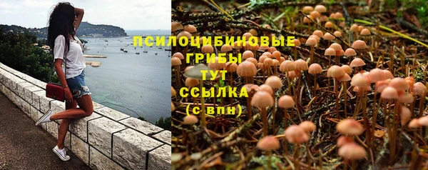 каннабис Арсеньев