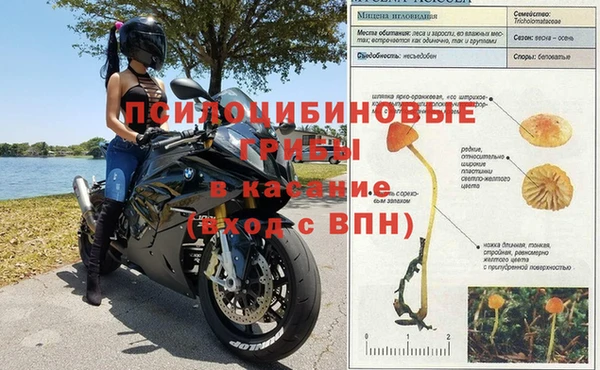 гашик Аркадак