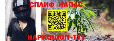 СК Краснодар