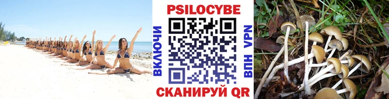 Псилоцибиновые грибы мухоморы  купить   Кубинка 