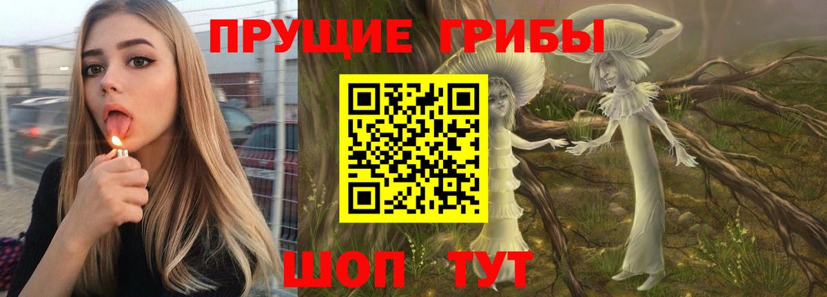 Псилоцибиновые грибы мицелий  Вход с VPN  Кубинка  Псилоцибиновые грибы прущие грибы 